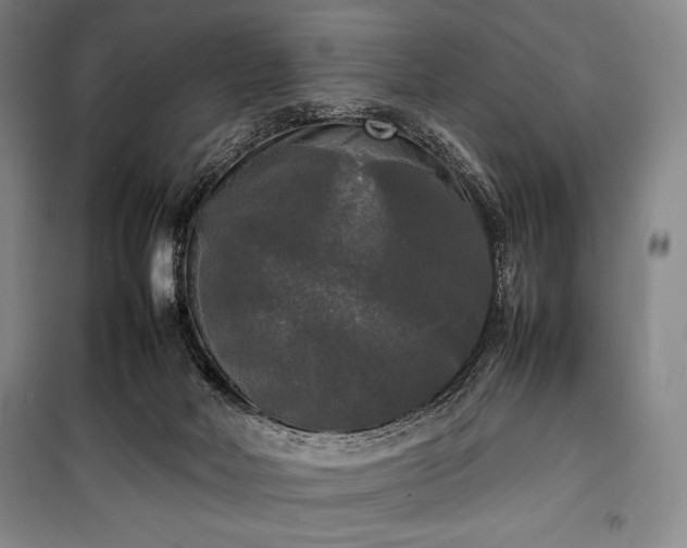 X0000100310026200806121051