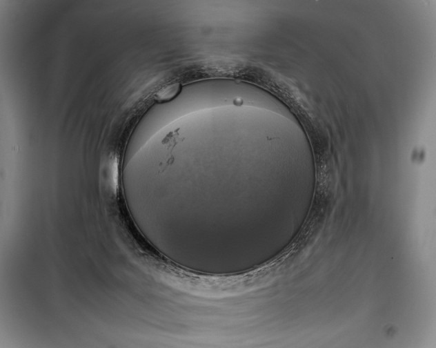 X0000100310027200806121051