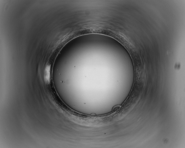 X0000100310028200806121051