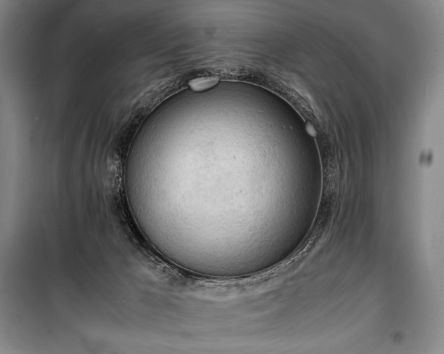 X0000100310029200806121051