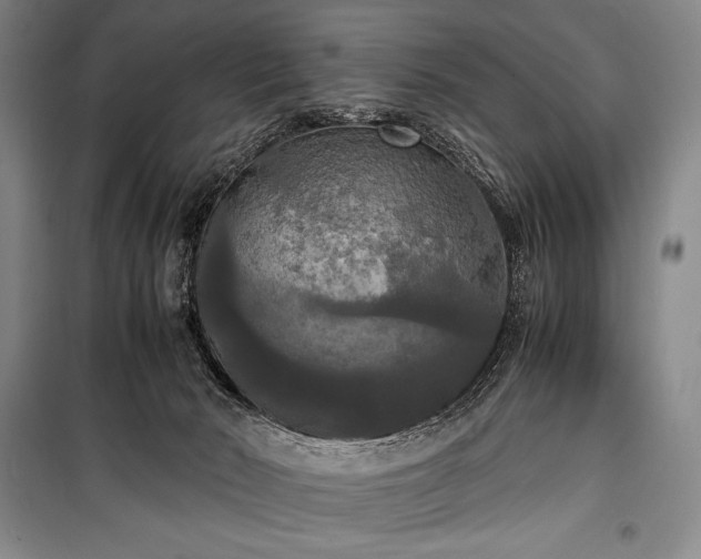 X0000100310030200806121051
