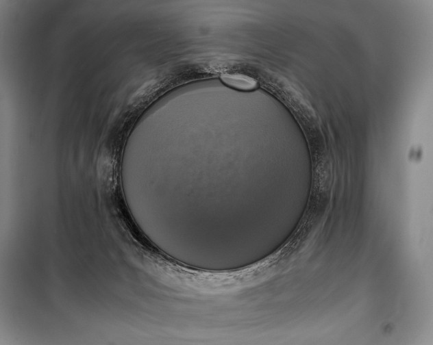 X0000100310031200806121051