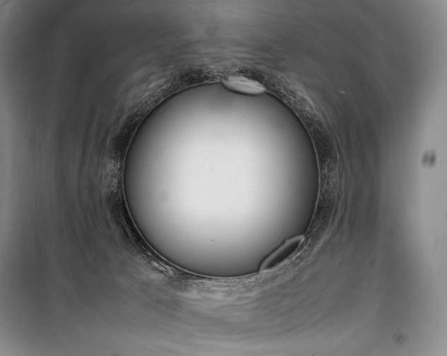 X0000100310033200806121051