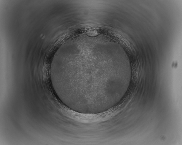 X0000100310034200806121051