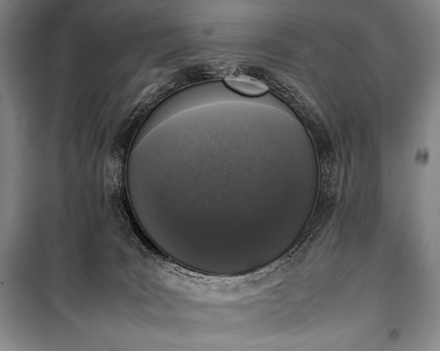 X0000100310035200806121051