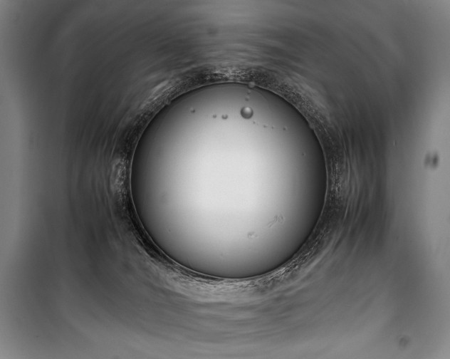 X0000100310036200806121051