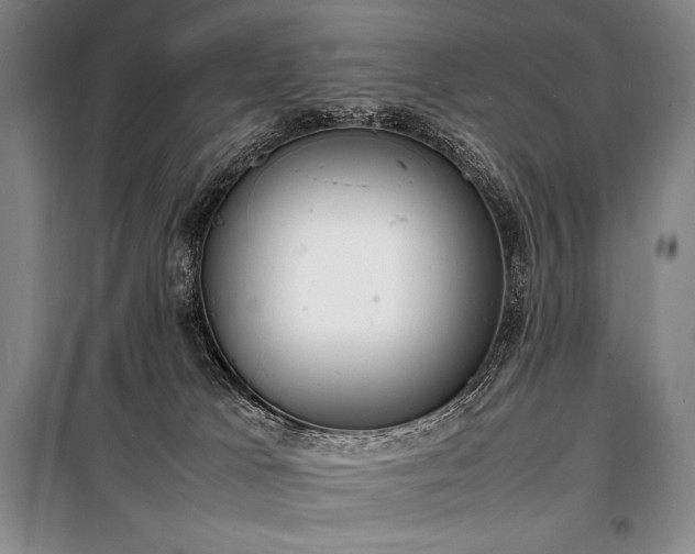X0000100310037200806121051