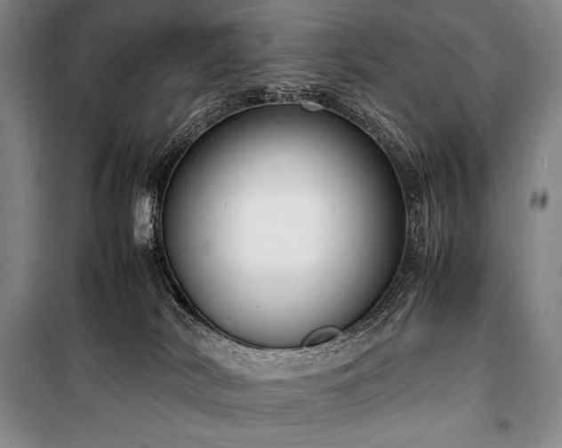 X0000100310038200806121050