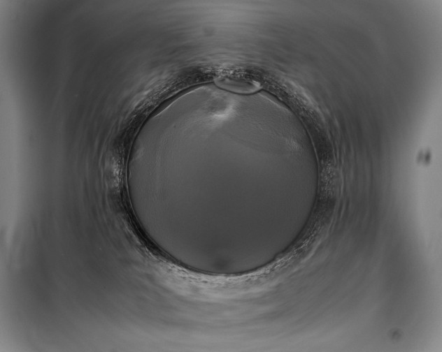 X0000100310039200806121050