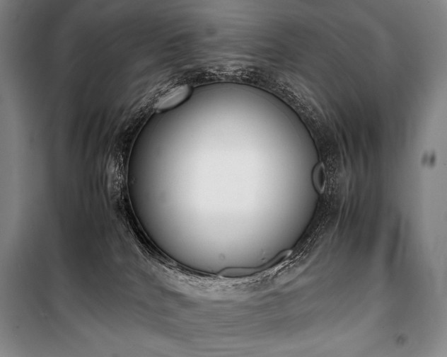 X0000100310040200806121050