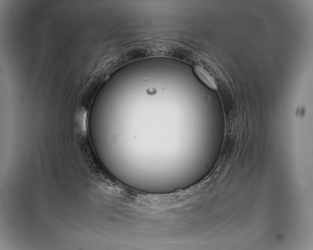 X0000100310041200806121050