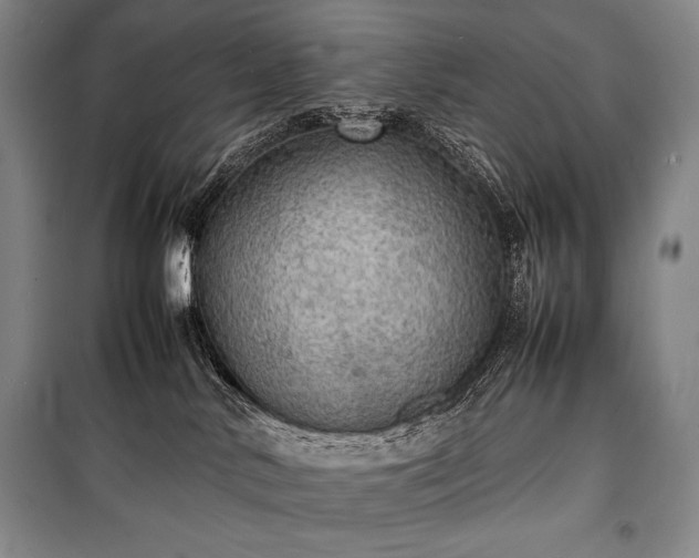 X0000100310042200806121050