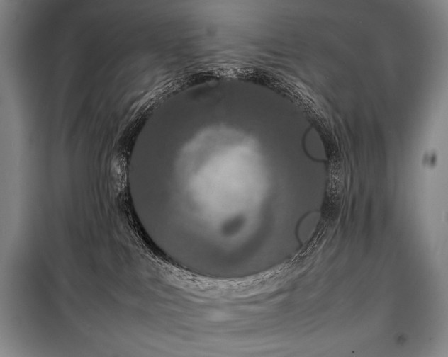 X0000100310043200806121050