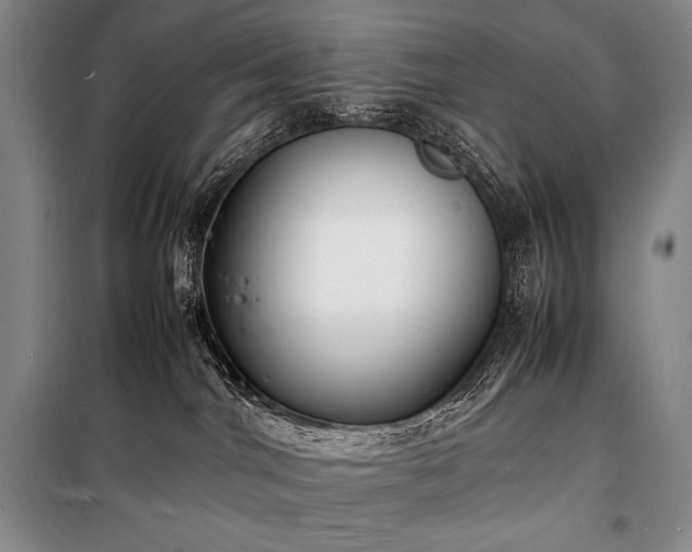 X0000100310044200806121050