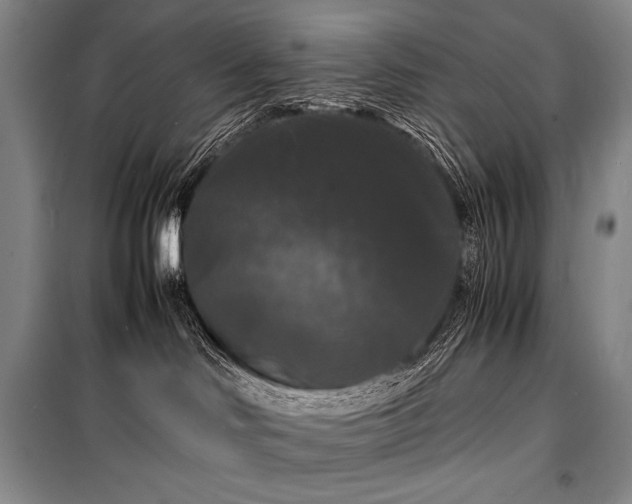 X0000100310046200806121050