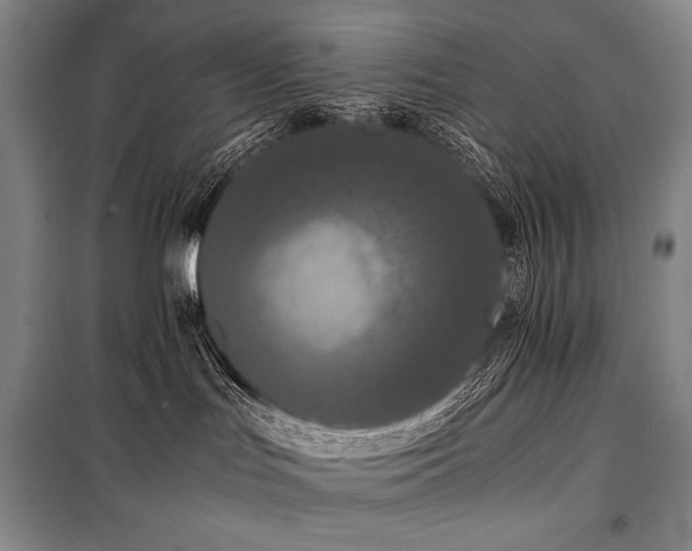X0000100310047200806121050
