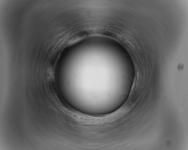 X0000100310048200806121050