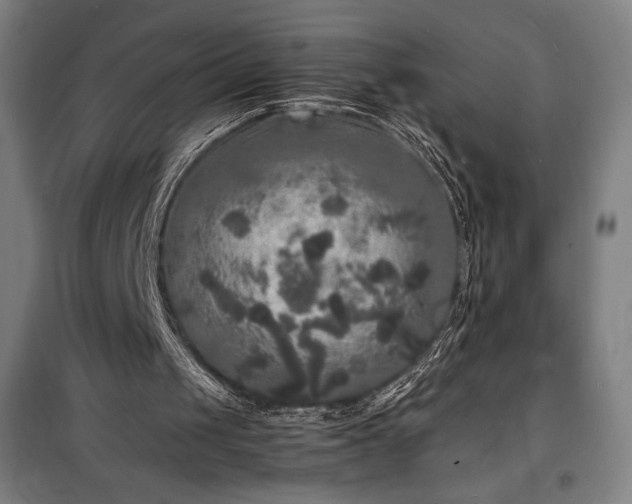 X0000100310049200806121050