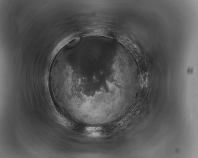 X0000100310051200806121050