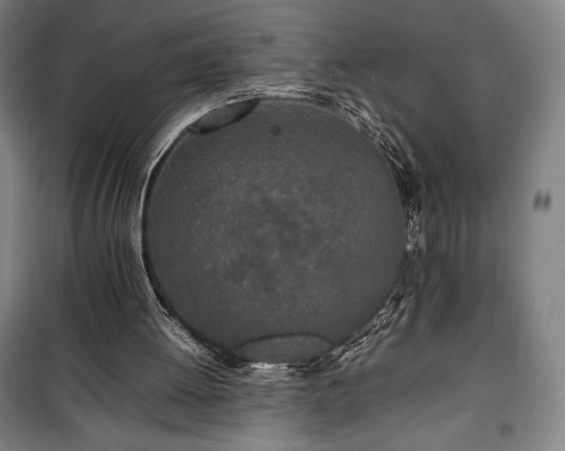 X0000100310052200806121050