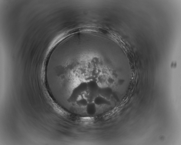 X0000100310053200806121050
