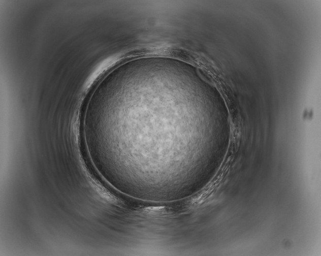 X0000100310054200806121050