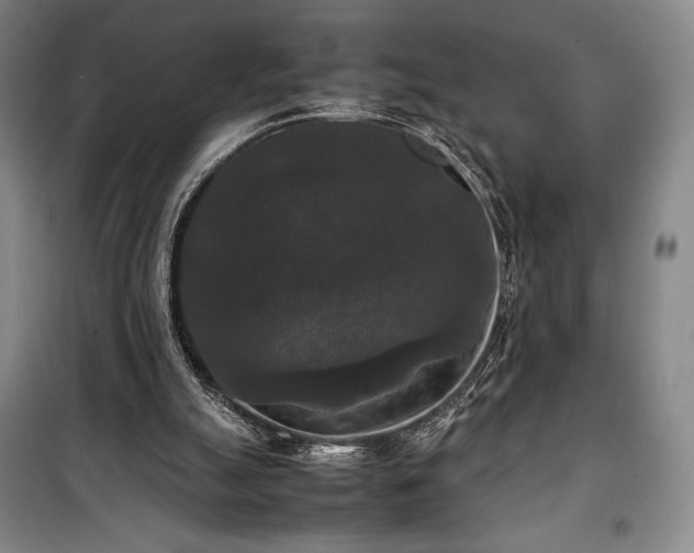X0000100310055200806121050