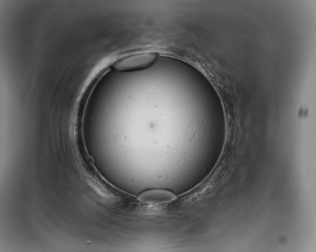 X0000100310056200806121050
