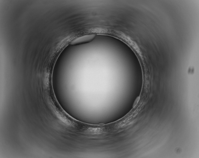 X0000100310057200806121050