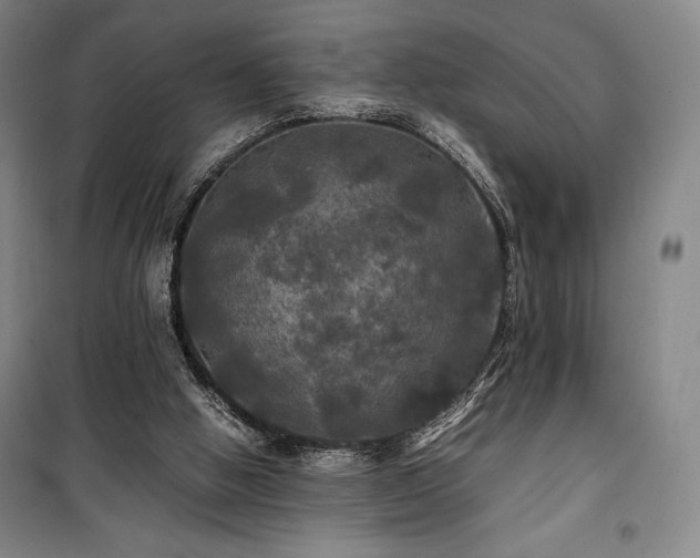 X0000100310058200806121050