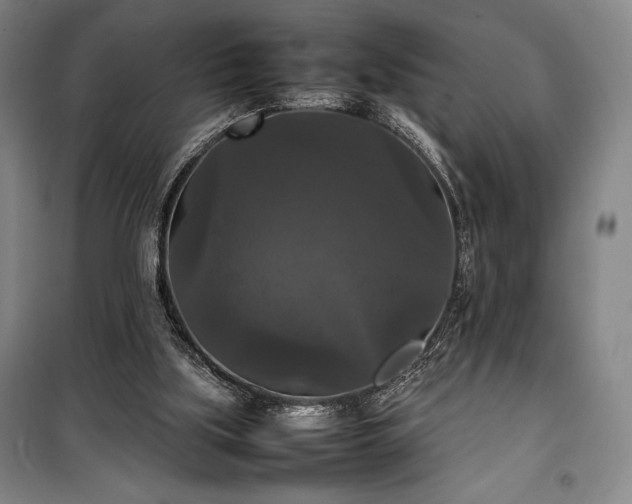 X0000100310059200806121050