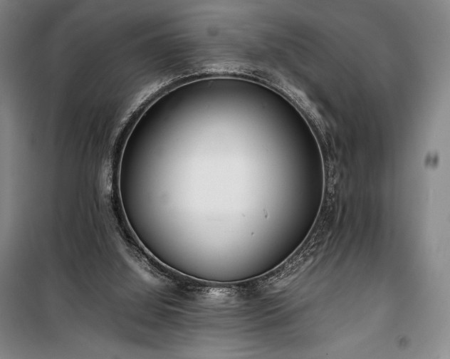 X0000100310060200806121050