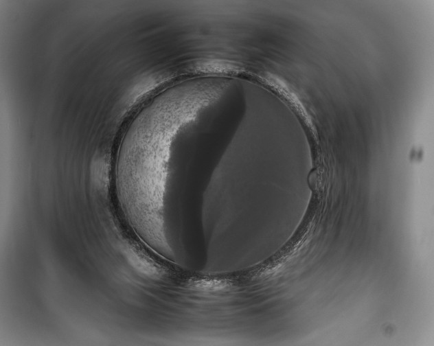X0000100310063200806121050