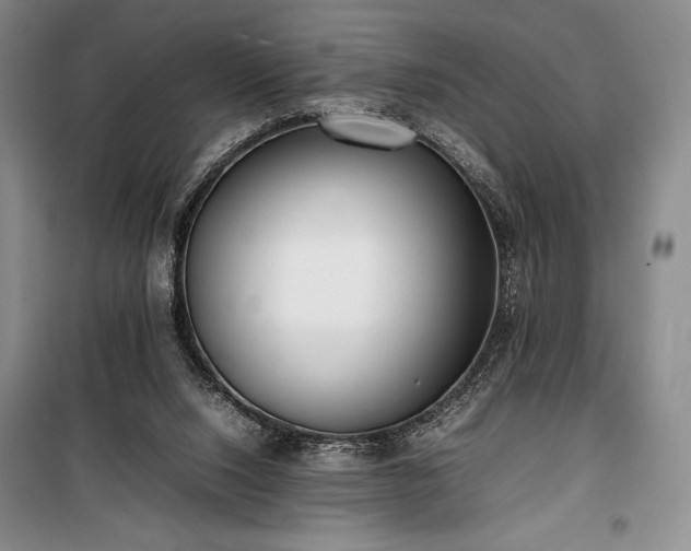 X0000100310064200806121050