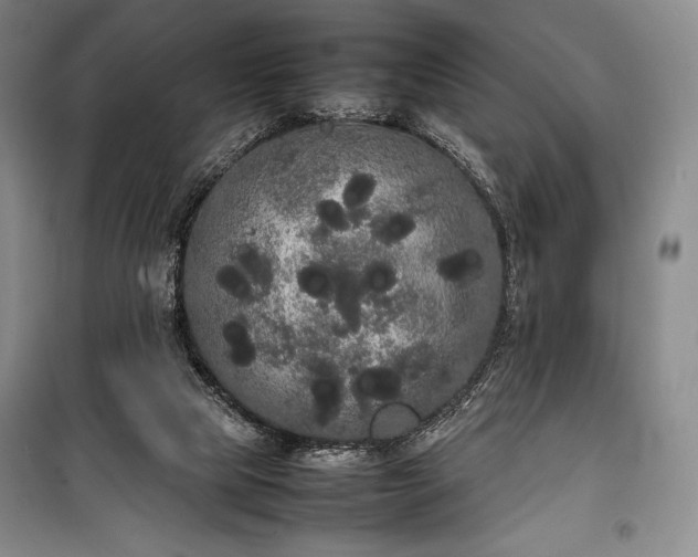 X0000100310065200806121050