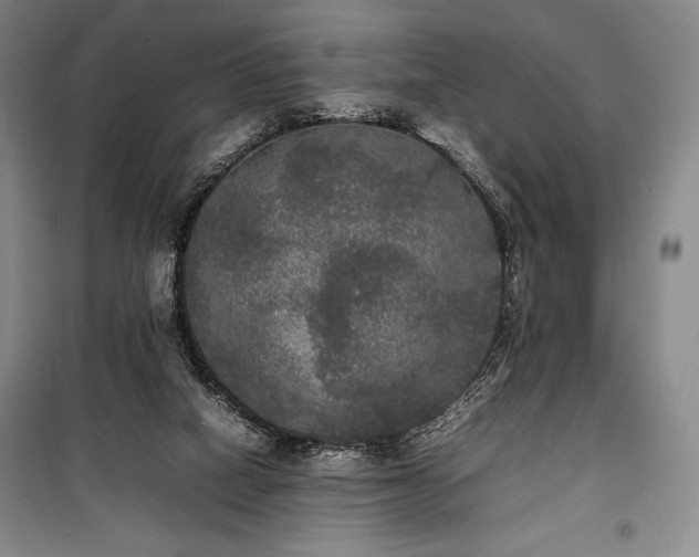 X0000100310066200806121050