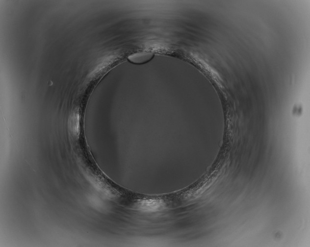 X0000100310067200806121050