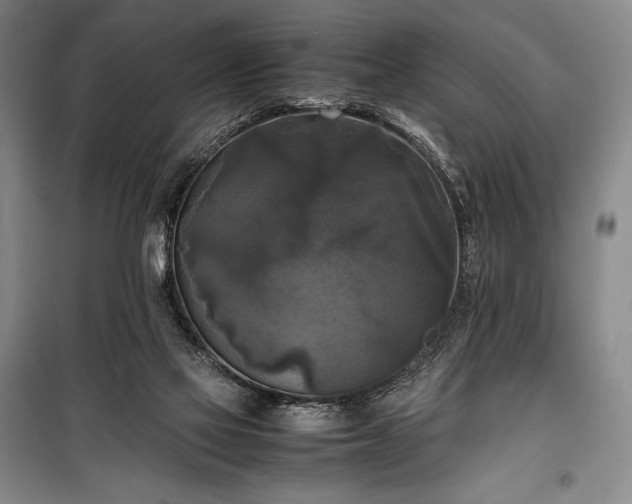 X0000100310069200806121050