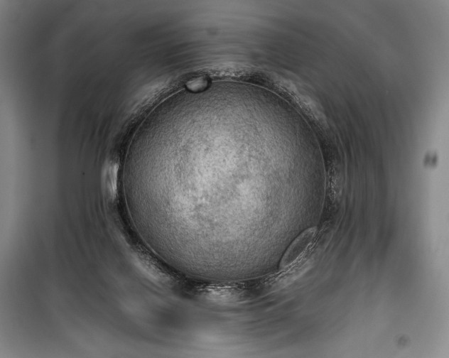 X0000100310070200806121050