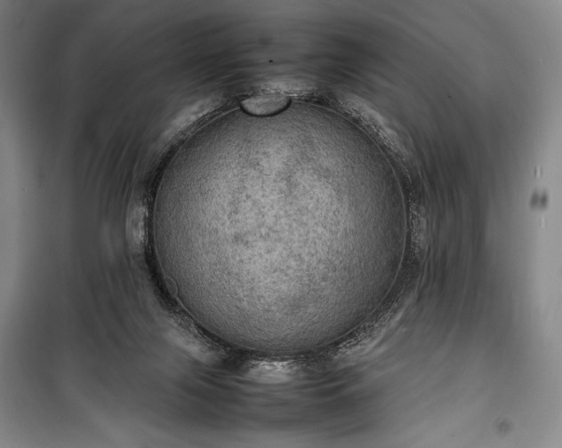 X0000100310071200806121050