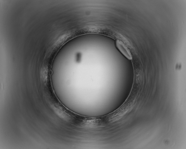 X0000100310072200806121050