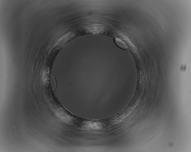 X0000100310073200806121050