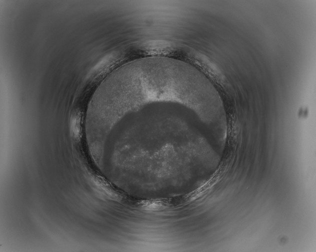 X0000100310074200806121050
