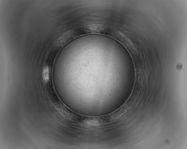 X0000100310075200806121050