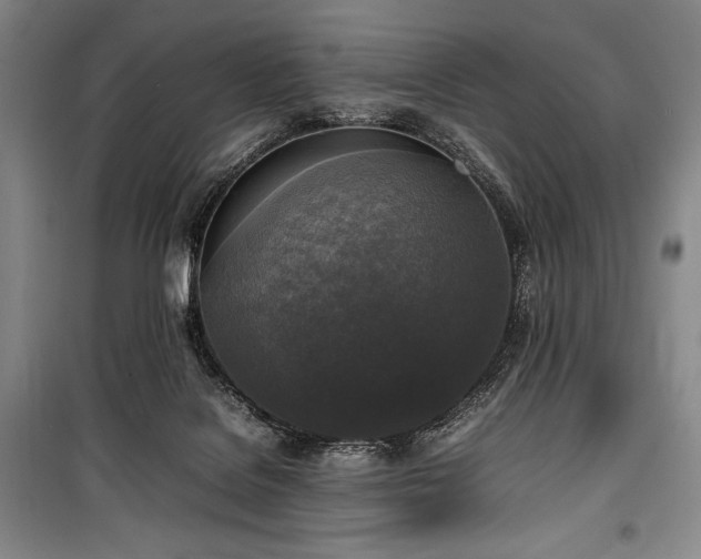 X0000100310076200806121050