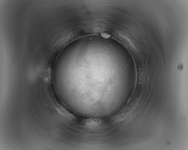 X0000100310077200806121050