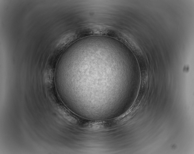 X0000100310078200806121050