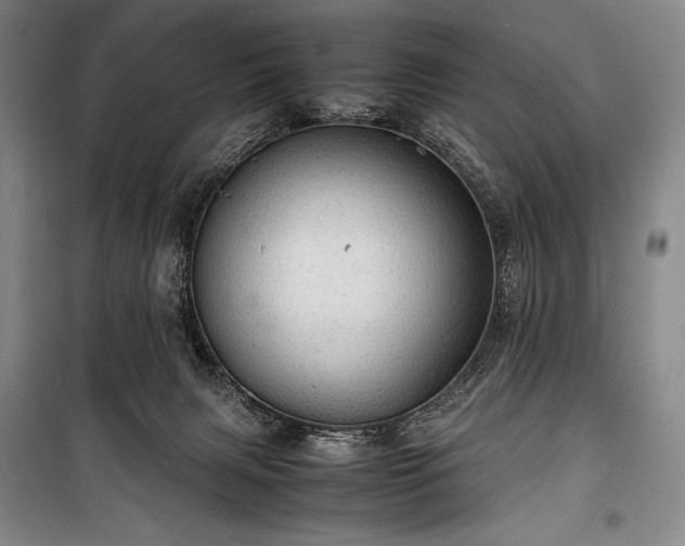 X0000100310079200806121050