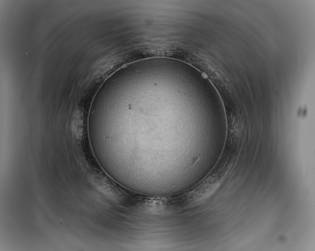 X0000100310080200806121050