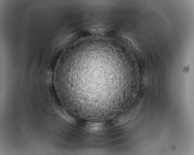 X0000100310081200806121050